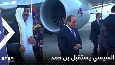 السيسي يستقبل تميم بن حمد في زيارة هي الأولى للقاهرة (فيديو)
