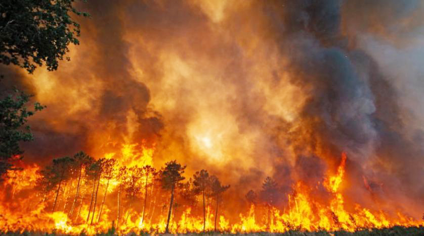 "اثنين الجحيم" يشعل أوروبا.. والحر يحصد ألاف الأرواح مع اشتداد حرائق الغابات (صور)