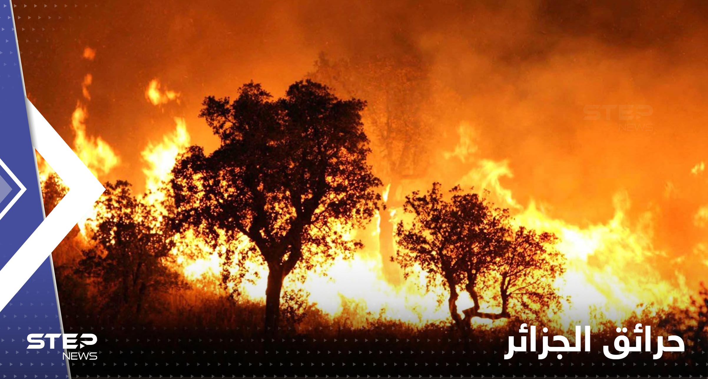 الجزائر.. ضبط 3 أشخاص أضرموا النار عمداً في محاصيل زراعية