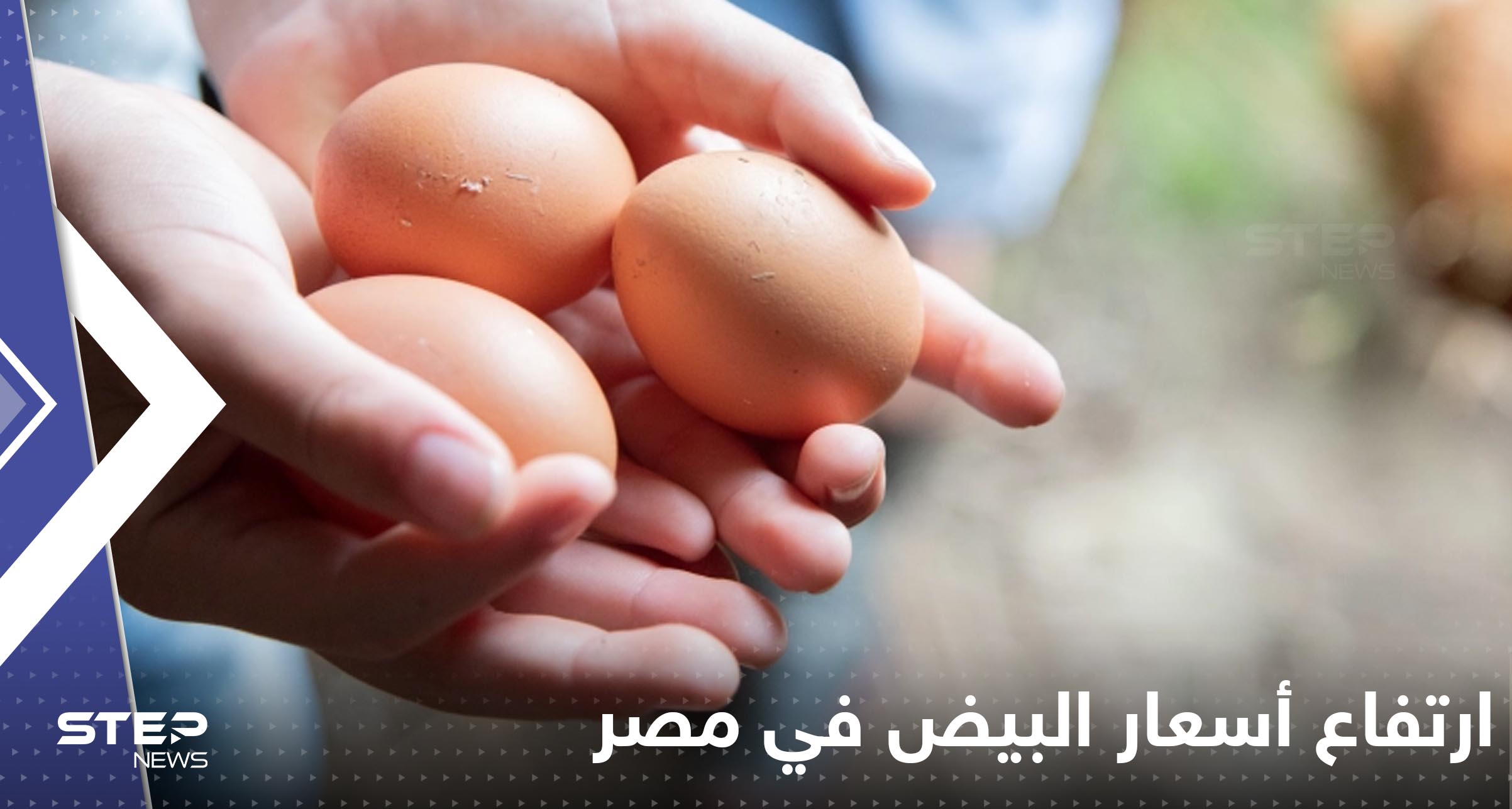 ارتفاع أسعار البيض في مصر