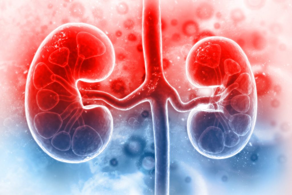 kidney diseases 1 scaled 1
