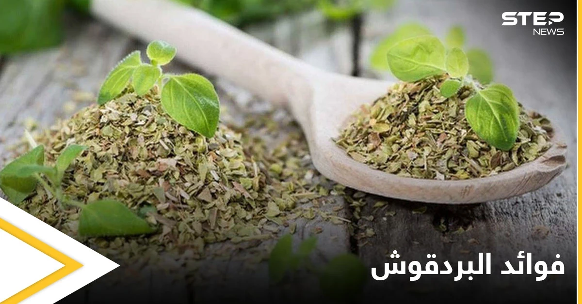حقيقة أم خرافة.. علاج تكيس المبايض وبطانة الرحم المهاجرة باستخدام البردقوش إليك أهم المعلومات